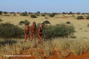 Camping-Abenteuer in Namibia