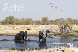 Namibia für Preisbewusste