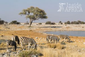 Namibia für Preisbewusste