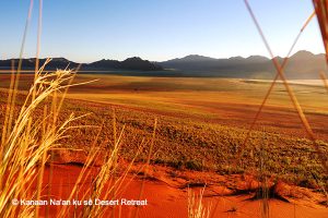 kanaan-naan-ku-se-desert-retreat-landschaft