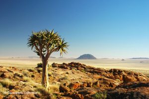 Namibia nachhaltig bereisen