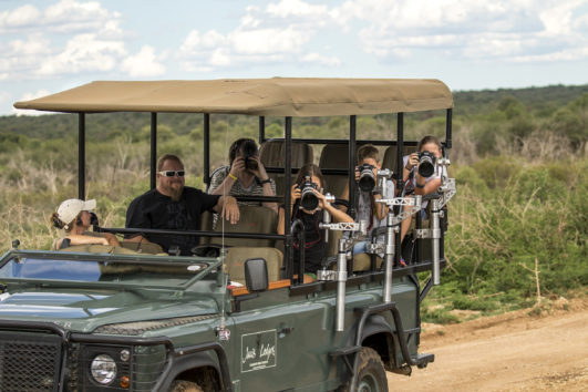 Deluxe Safari im Norden Suedafrikas