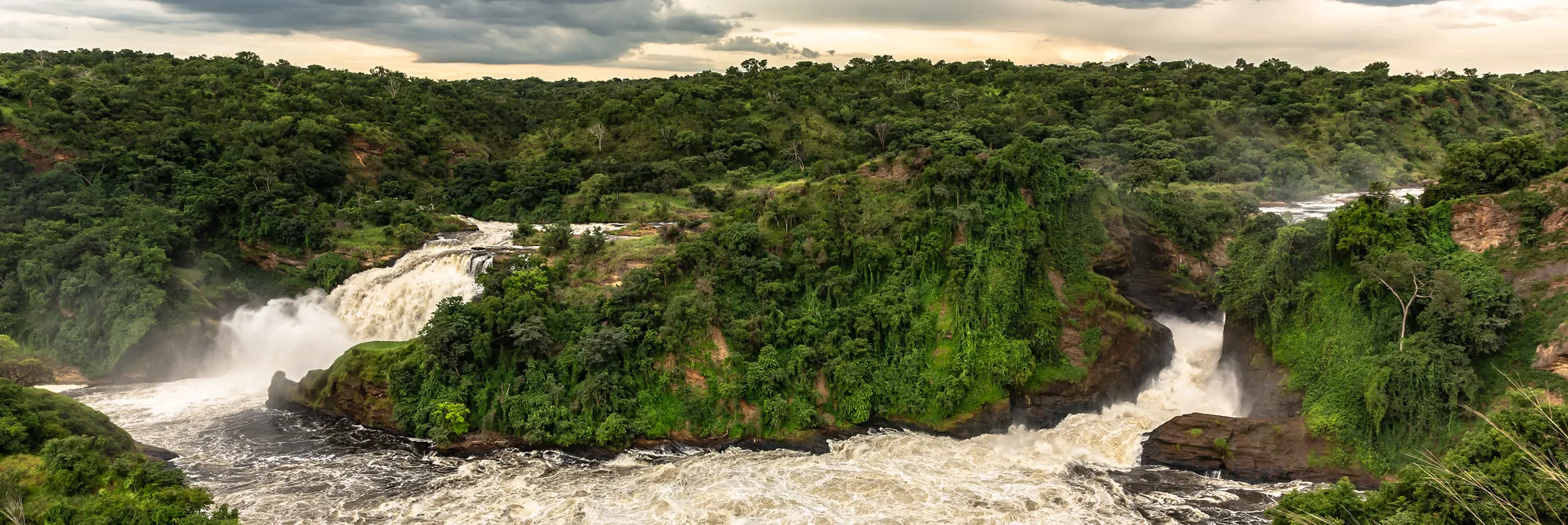 Uganda Fotoreise – Auf Tuchfühlung mit Gorillas & Schimpansen