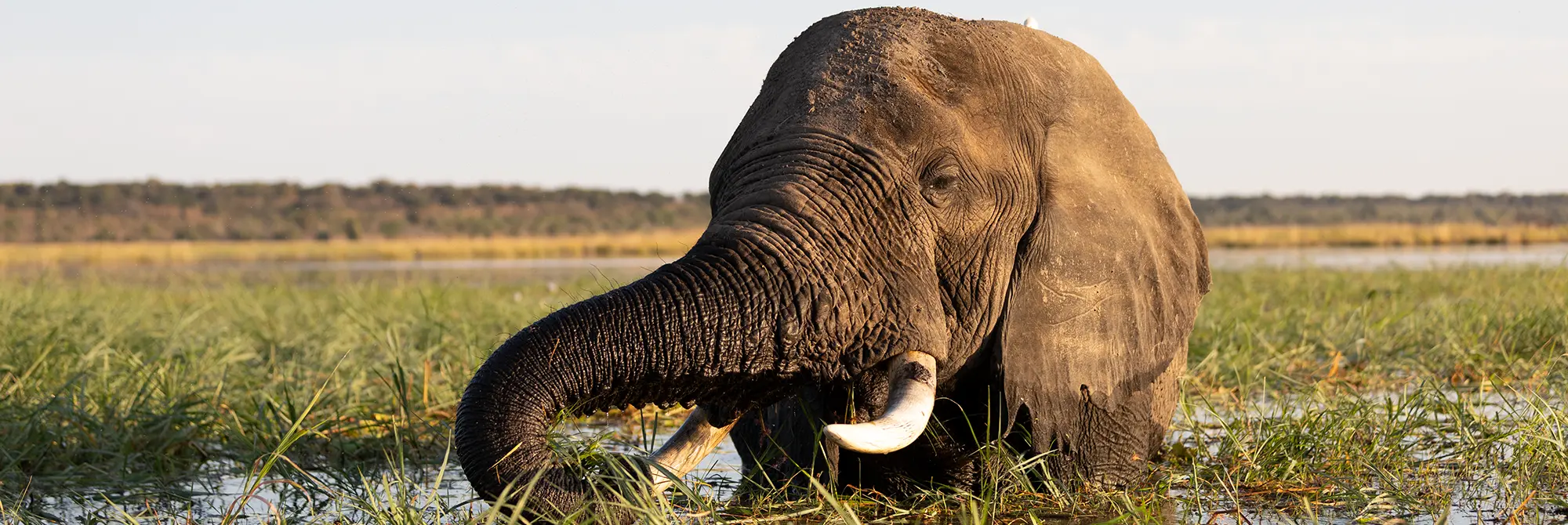 Privatreise Highlights Botswana & Viktoriafälle