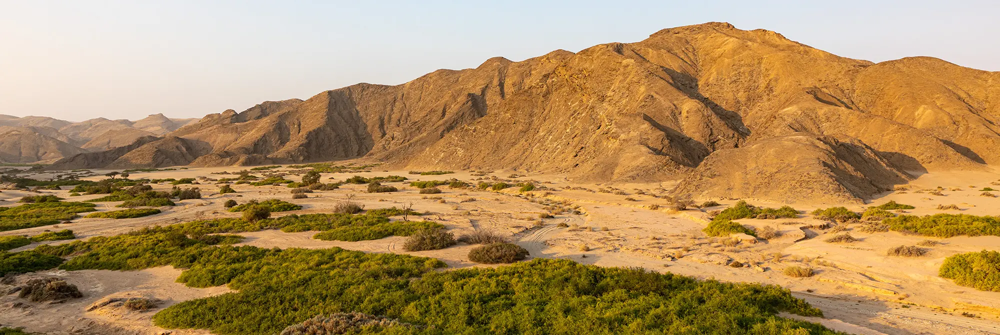 Tierwelt und Kulturen im Norden Namibias