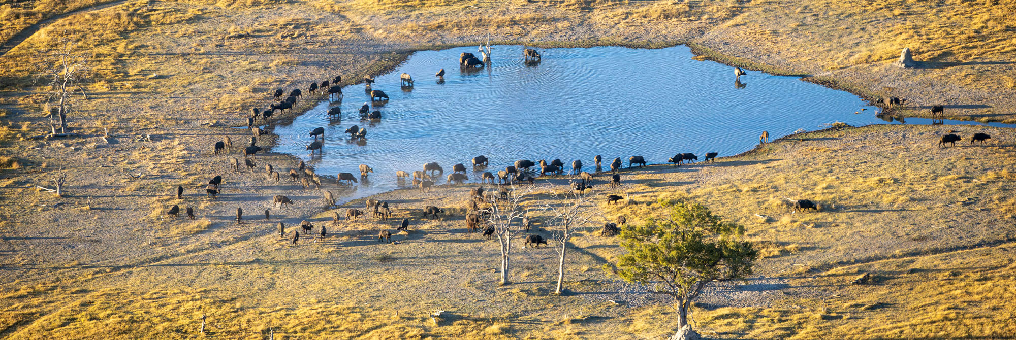 Geführte Campingtour durch Botswanas Wildnis