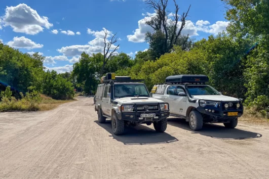 Unsere Dachcamper: Toyota Landcruiser und Hilux in Khwai in Botswana
